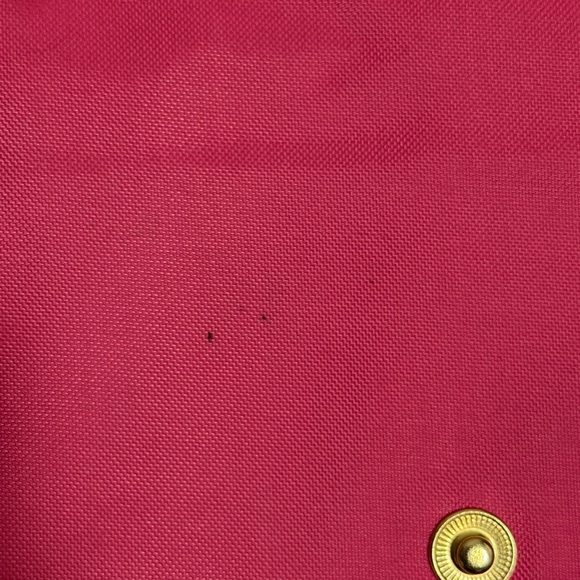 Longchamp Pink Tote with Brown Handles - Picture 7 of 10